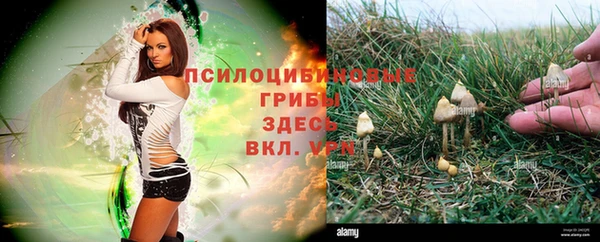 кокаин премиум Ростов